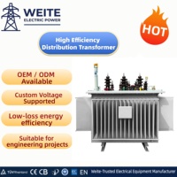 Transformateur de distribution de puissance triphasé immergé dans l'huile 200 kVA 400 kVA 6 kV 50/60 Hz entièrement scellé en cuivre pour réseau utilitaire