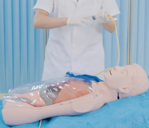 Mannequin d'entraînement Labpilot à trois cavités pour cathéter à double ballonnet, tube NG, soins gastro-intestinaux, en PVC, taille humaine, avancé - Product Image 6