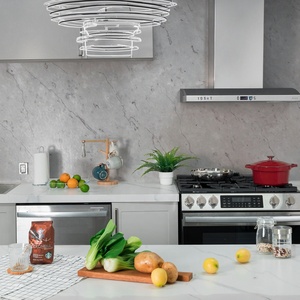 <span class=keywords><strong>Lave</strong></span>-<span class=keywords><strong>vaisselle</strong></span> encastrable en acier inoxydable avec logo OEM, cuisinière à gaz avec <span class=keywords><strong>four</strong></span> pour usage hôtelier - Product Image 6