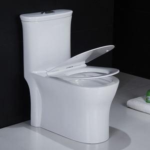 WC monobloc en céramique pour salle de bain, style Amérique latine - Product Image 4