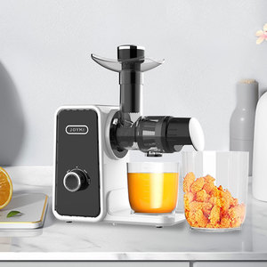 Nhà Máy Bán buôn cao năng suất nước trái cây chậm máy ép trái cây trong văn phòng - Product Image 6