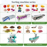 Jujube-granaatappel-knoflook-fruitroller sorteermachine, blauwe bes-kokosnoot-industriële perzik sorteermachine