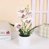 Nouveau 5 Papillon Orchidée Simulation Poterie Home Office Décoration Petite Poterie Bonsaï Plante Verte Petit Bonsaï