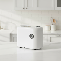 Pompe de surpression auto-amorçante à aimant permanent AC pour traitement de l'eau potable OEM, haute qualité, grand débit, 100%