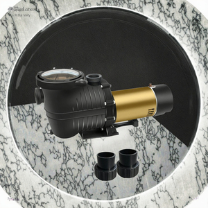 Pompa di circolazione acqua autoadescante da 1.5HP a due velocità a risparmio energetico per piscine interrate 80GPM 115V Facile da installare - Product Image 2