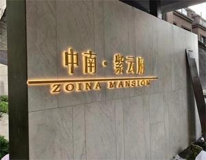 ミニLEDネオンライトビルボードステンレス鋼バックルミナスワード樹脂モール会社病院パークデコレーション用 - Product Image 3