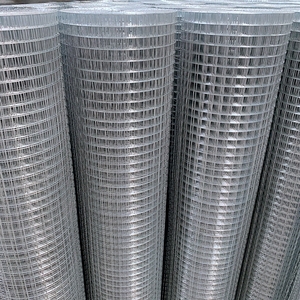 6x6 Galvanized Welded Wire <b>Mesh</b> for Poultry Netting and Chicken Cage Modern Design <b>Screen</b> Netting Solutions - Product Image 5