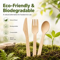Ensemble de couverts jetables en bois de bouleau biodégradable 160 mm – Couteau, fourchette, cuillère pour restaurant, plats à emporter, fête