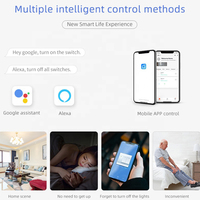 DUOMEI Tuya Smart Curved Switch Zigbee 3.0 Standar AS 1 Gang Saklar Dinding Dapat Dikendalikan Suara Alexa Home Assistant