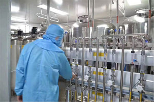 OEM táo có hương vị ngựa wormer bổ sung sức khỏe - Product Image 4