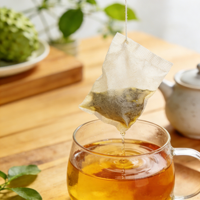 Ingwer-Pfirsich Kräutertee zur Magenberuhigung und Verdauungsförderung Premium Koffeinfrei mit 20 Biologisch Abbaubaren Maisfaser-Teebeuteln