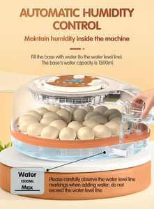 <span class=keywords><strong>2026</strong></span> की प्रवृत्ति उत्पाद आर्द्रता को नियंत्रित करने के लिए 26 अंडे की इनक्यूबेटर मशीन ह्यूमिडिफायर - Product Image 4
