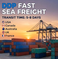 Transit maritime professionnel aux États-Unis : Service de consolidation porte-à-porte via FedEx UPS, double dédouanement, taxes incluses