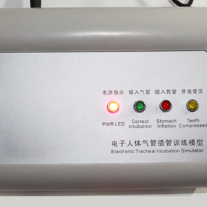 نموذج تدريب إلكتروني لمحاكاة التنبيب الرغامي مع أسنان مضغوطة - Product Image 5