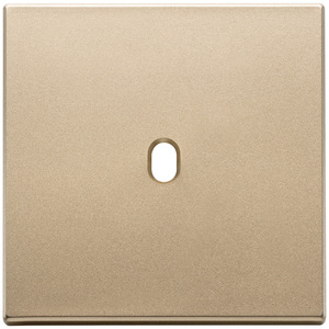 Vintage Satin Gold Wall <b>Plate</b> 9.5 In Length 1.4 In Height Single Gang <b>Switch</b> Cover - Product Image 1