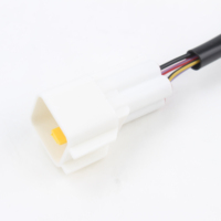 Faisceau de câbles conducteurs en cuivre étanche OEM avec connecteur adaptateur IP68 pour moteur de voiture, boîte de vitesses, transmission et commande ECU