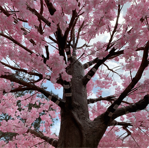 Arbre à fleurs de cerisier artificiel de 250 cm, fait main, très vendu, en PU, écologique, résistant aux UV, <span class=keywords><strong>d</strong></span>écoration intérieure pour <span class=keywords><strong>chambre</strong></span> à coucher - Product Image 5