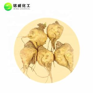 マカ根エキス粉末<span class=keywords><strong>100</strong></span>% 純粋天然 - Product Image 2