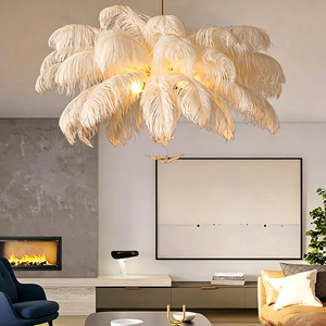 DUOMEIJU NOUVEAU <span class=keywords><strong>Plafonnier</strong></span> LED moderne et coloré à plumes, lumière chaude pour chambre à coucher - Product Image 2