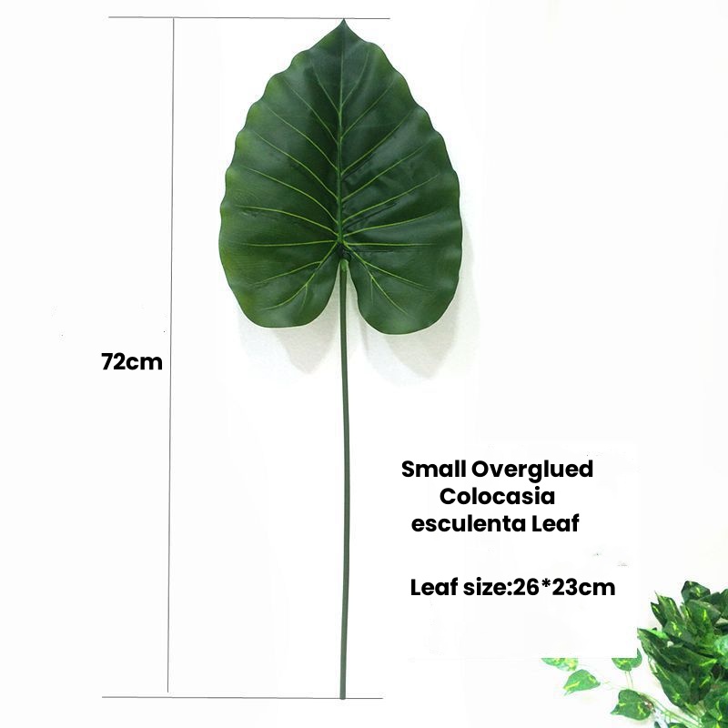 5#  Green Colocasia esculenta Leaf-72cm