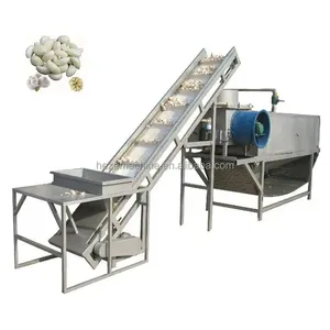 Mesin pengolah bawang putih elektrik/mesin pengupas bawang putih bubuk lini produksi