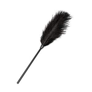 Fabrieksgroothandel Flirten Veren Groothandel Volwassen Producten Seksspeeltjes Meer Passie Voor Seksliefde Voor Koppels - Product Image 3