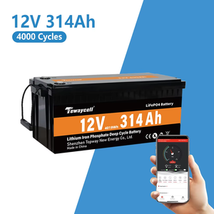 ภาษีและค่าขนส่งฟรี DDP ไปยังโปแลนด์ ชุดแบตเตอรี่ลิเธียมไอรอนฟอสเฟต 12.8V 314Ah 4019Wh พร้อมระบบควบคุม BMS ผ่านแอปพลิเคชัน สำหรับการตั้งแคมป์และเรือ - Product Image 1
