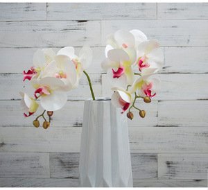 ดอกกล้วยไม้ฟาแลนนอปซิสประดิษฐ์แบบขายส่ง 6 หัว สัมผัสเหมือนจริง ตกแต่งโรงแรม บ้าน สำนักงาน วัสดุอ่อนนุ่ม เป็นมิตรกับสิ่งแวดล้อม เหมาะสำหรับใช้ในเชิงพาณิชย์ - Product Image 4