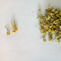 Camomille Matricaire fleur coupee bio Matricaria recutita fleur de haute qualité à vendre
