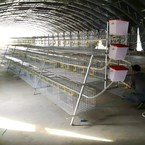 Système de cages en batterie en acier galvanisé de type A pour poules pondeuses, très demandé sur le marché africain, pour fermes avicoles - Product Image 5