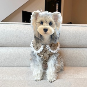 Vêtements pour animaux de compagnie en gros, robe pour animaux de compagnie en dentelle blanche à col rond, brodée de pommes, pour chiens et chats de petite et moyenne taille, Schnauzer, Malteuse - Product Image 3