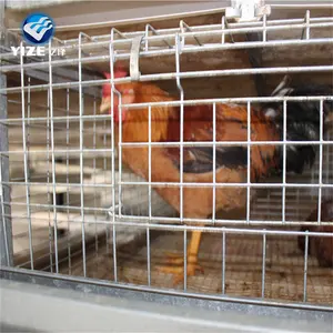 Chicken Cage Roosting Nest Pad Building A Chicken Run Chicken Feed Battery Cage Poultry Farming Cage