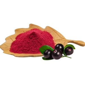 Poudre de baies d'açaï, poudre de jus de fruits d'açaï, Backvita - Product Image 3