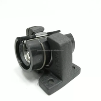 Rodamiento lineal de precisión original Thomson PBO24OPN PBO24