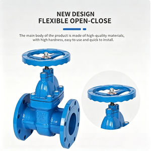 Válvula de Compuerta de Control de Hierro Dúctil con Vástago Fijo y Sello Duro Z45T-16Q DN50, con Brida, para Tuberías de Agua Contra Incendios - Product Image 5