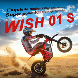 <span class=keywords><strong>Moto</strong></span> électrique tout-terrain Wish01S, <span class=keywords><strong>moto</strong></span> électrique, motocross, <span class=keywords><strong>moto</strong></span> enduro légère pour jeunes et adolescents, adulte, 12/14 pouces, CE OEM - Product Image 6