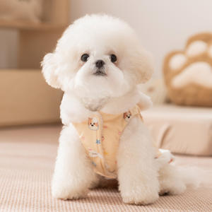 Vêtements pour chien pour l'automne et l'hiver, <span class=keywords><strong>jupe</strong></span> d'hiver épaissie et chaude en peluche, deux pieds peuvent être tirés, ours en peluche - Product Image 3
