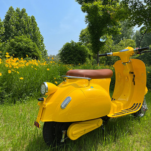 Loisirs urbains rétro tendance vélo électrique livraison rapide Series-72v de vacances romaines 1000w Streetbikes <span class=keywords><strong>50</strong></span> km/h 260KG capacité de charge - Product Image 4