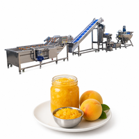 Geavanceerde productielijn voor fruitconfiture, confituurproductielijn, confituurmachine, kleine confituurmachine