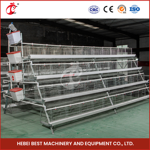 Cages à poulet de couche d'importation de conception pour la ferme de poulet de 500 oiseaux à 50,000 couches - Product Image 3