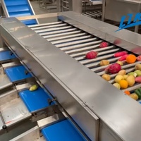 Volledig automatische machine voor het wassen, drogen en sorteren van groenten en fruit met bubbels, voor industriële verwerkingsbedrijven en landbouwgebruik.