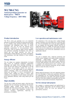 Groupe électrogène à gaz 500 kW 600 kW 700 kW, Générateur GPL 750 kVA pour champ pétrolier, Groupe électrogène au gaz naturel 700 kVA pour centre de données