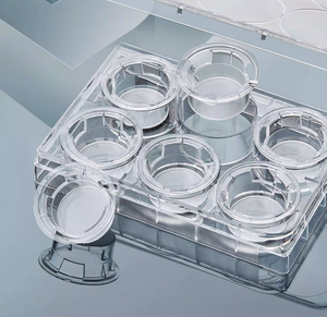 <span class=keywords><strong>Chambre</strong></span> <span class=keywords><strong>de</strong></span> <span class=keywords><strong>culture</strong></span> cellulaire - Membrane en polycarbonate PC, Membrane en polyester PET, Bassin <span class=keywords><strong>de</strong></span> <span class=keywords><strong>culture</strong></span> cellulaire - <span class=keywords><strong>Chambre</strong></span> <span class=keywords><strong>de</strong></span> <span class=keywords><strong>culture</strong></span> cellulaire adhérente TC - Product Image 1