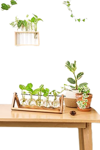 New Retro-Style Planting Hydroponicswith Wooden Stand Air Planter Bulb Vase Home <b>Garden</b> Desktop Propagation Station Used Bonsai - Product Image 4