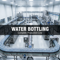 Machine de remplissage d'eau potable en acier inoxydable 304 certifiée CE, équipement automatique d'embouteillage d'eau pure pour usine