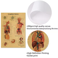 Anatomie humaine colonne vertébrale squelette affiche médicale murale intérieur maison décorative Art impression toile mur Art pour genou articulation pied