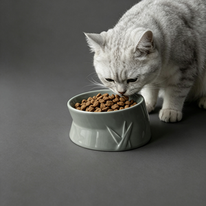 Modern <b>Ceramic</b> Pet Bowl Green Non-Slip Design for <b>Dogs</b> Indoor Use - Product Image 5