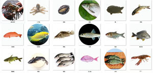 Bio Aquarium Tank Gebogen Glas Stapelbare Biokudde Rond Zand <span class=keywords><strong>Betta</strong></span> Bio Filters Viskwekerij Tank Landbouw - Product Image 3