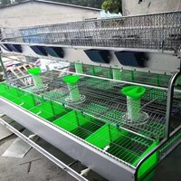 Cage à lapins à plusieurs niveaux pour l'élevage de lapins de chair et de reproduction