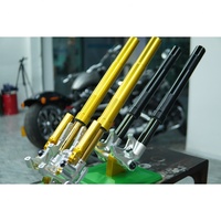 INCA - Horquilla Delantera de Acero Personalizada para Motocicleta, 41 mm, para Reequipamiento/Actualización, Universal, Garantía de Un Año, CN/GUA